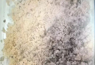 抓127人！沈阳警方全链条摧毁跨13省特大涉毒网络