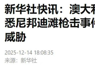 悉尼枪击案惊险一幕：男子上前与其扭打成功夺枪