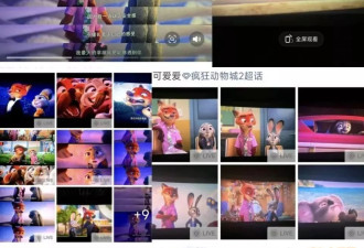 疯狂动物城？还是偷拍城？我在朋友圈看完电影