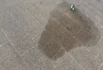 “枪手在我正对面！”海滩枪击，现场有多凶险？
