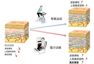 讲真！老得慢的人，都掌握了这个方法
