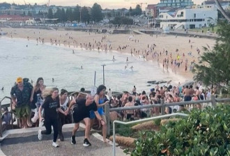 澳洲海滩犹太节庆枪击案 警方：增至16人死亡