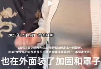 4斤黄金凤冠被男童触碰损坏,罩子到底有没有加固?