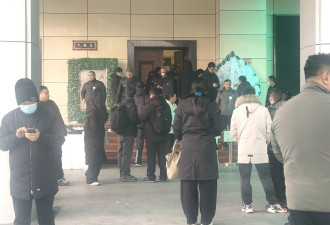 “古典第一美人” 何晴追悼会今日举行 亲友低调送别