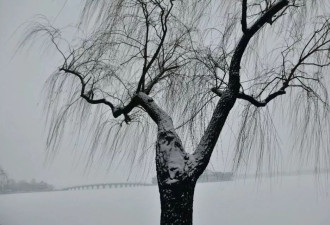 北京下雪了，颐和园美成一幅画！