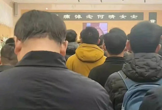 2个不舍：离别时何晴用尽力气拉儿子手不想放开