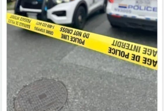 19岁男子开车撞树后身亡！汽车翻下路面坠入积水沟男子惨死