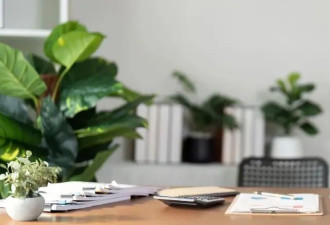 小伙到新装修办公室上班后确诊白血病,维权为何..