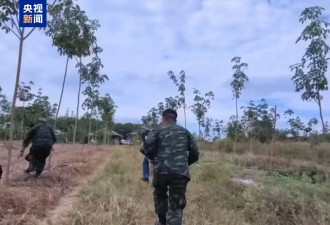 新一轮泰柬边境冲突已致17名泰国士兵死亡