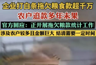 湖北孝感一企业拖欠农户粮食款超10年，超千万