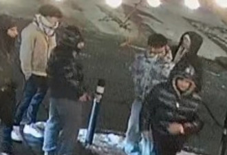 多伦多市中心餐厅凌晨爆发持刀斗殴，6名男子在逃，照片公布