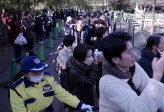 大熊猫即将返中民众不舍别离上野动物园大排长龙