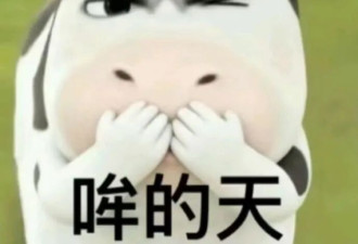 说点有钱人的保姆的八卦给你听