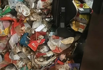 老鼠来了也得开导航！客住酒店两年房间变垃圾山、厕纸高过马桶
