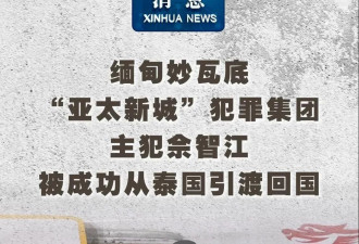 赵薇隐秘亲属链：前夫表弟是缅北电诈教父