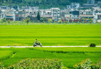 比丽江人少 比大理静谧 2元泡温泉 没火赶紧去