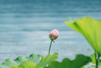 比丽江人少 比大理静谧 2元泡温泉 没火赶紧去