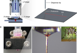 科学家用蚊子嘴做3d打印喷头