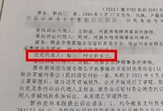为逃限高，村支书让智力缺陷者接任，多方回应