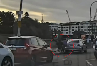 悉尼枪击案英雄不止一人 退休夫妇欲夺枪中弹亡