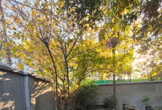 何晴老家房子被曝已出租，像田园小院