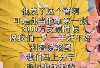 向太曝李连杰收入全部上交利智，知情人曝出，两人利益夫妻的内幕