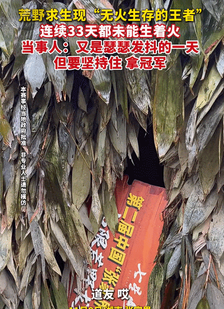 新中式“荒野求生”，疯狂捞金.....