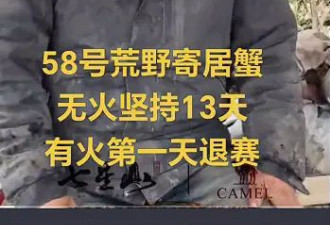 新中式“荒野求生”，疯狂捞金.....
