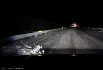 40余车辆遭高速海鲜废料“臭袭”，交警称非交通事故