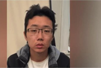 干这卑劣事，中国留学生被控150项罪