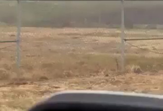 北卡机场发生空难 商务机坠毁起火酿多人死亡
