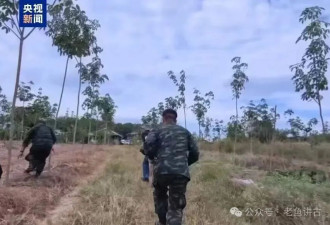 泰国为何一定要用“轰炸”摧毁电诈