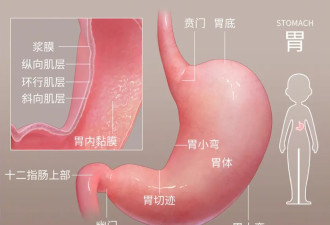 以为只是“没胃口”，怎么就晚期了？