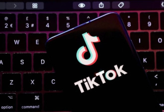 TikTok美国版明年1/22易主 美投资方签署合资协议