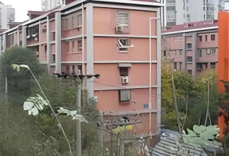 著名播音员钟瑞在加拿大病逝！丈夫宋世雄的三...
