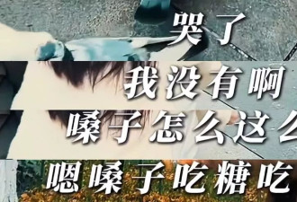 郑爽方晒录音谴责造谣者，声音哽咽再度辟谣