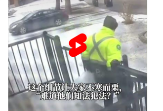 大温一伙人住宅门前偷包裹，全程被拍！