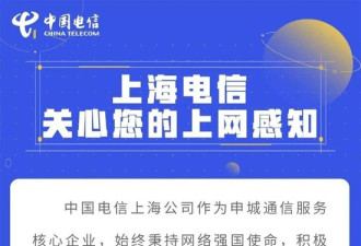 上海电信回应“罗永浩吐槽网速”