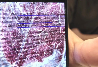 “难怪口感怪怪的…”必胜客门店被查!罗永浩发声