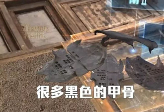 武王墩大墓首次发现的楚王珍藏的"长霝"长啥样？