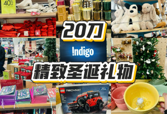 【Indigo】20刀超绝精致圣诞礼物！被书店名耽误的超绝精品店！
