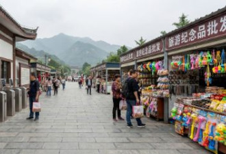 中国景区，大型工业预制菜？