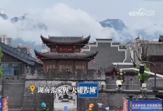中国景区，大型工业预制菜？