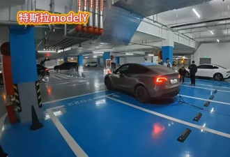 多款热门车实测自动泊车：只有特斯拉没翻车