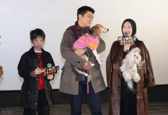 霍思燕瘦下来了！穿旗袍带西施犬夺冠，“葫芦身材”尽显东方优雅