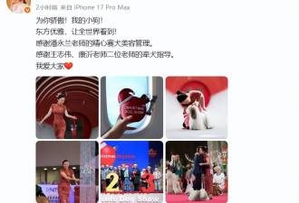 霍思燕瘦下来了！穿旗袍带西施犬夺冠，“葫芦身材”尽显东方优雅