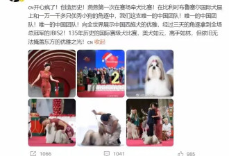 霍思燕瘦下来了！穿旗袍带西施犬夺冠，“葫芦身材”尽显东方优雅