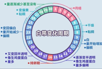 白带出现4种异常 可能是身体在报警
