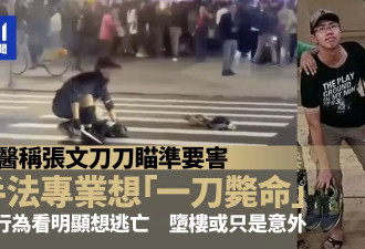 张文刀刀瞄准要害：手法专业想一刀毙命 堕楼因失误
