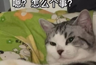 曝已婚男艺人出轨被抓包！爱说“我老婆最棒”